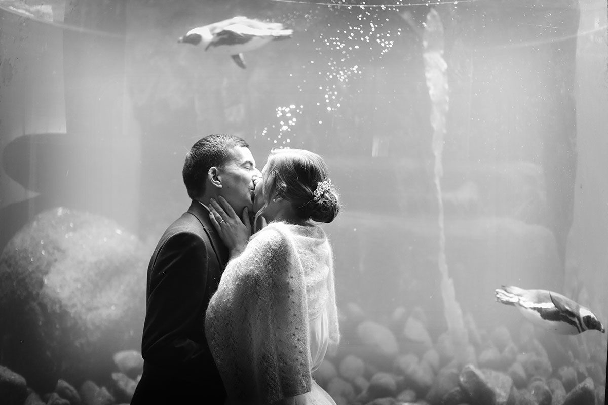 Wedding Photography at Bristol Zoo - Rachel & Chris | Bullit Photography