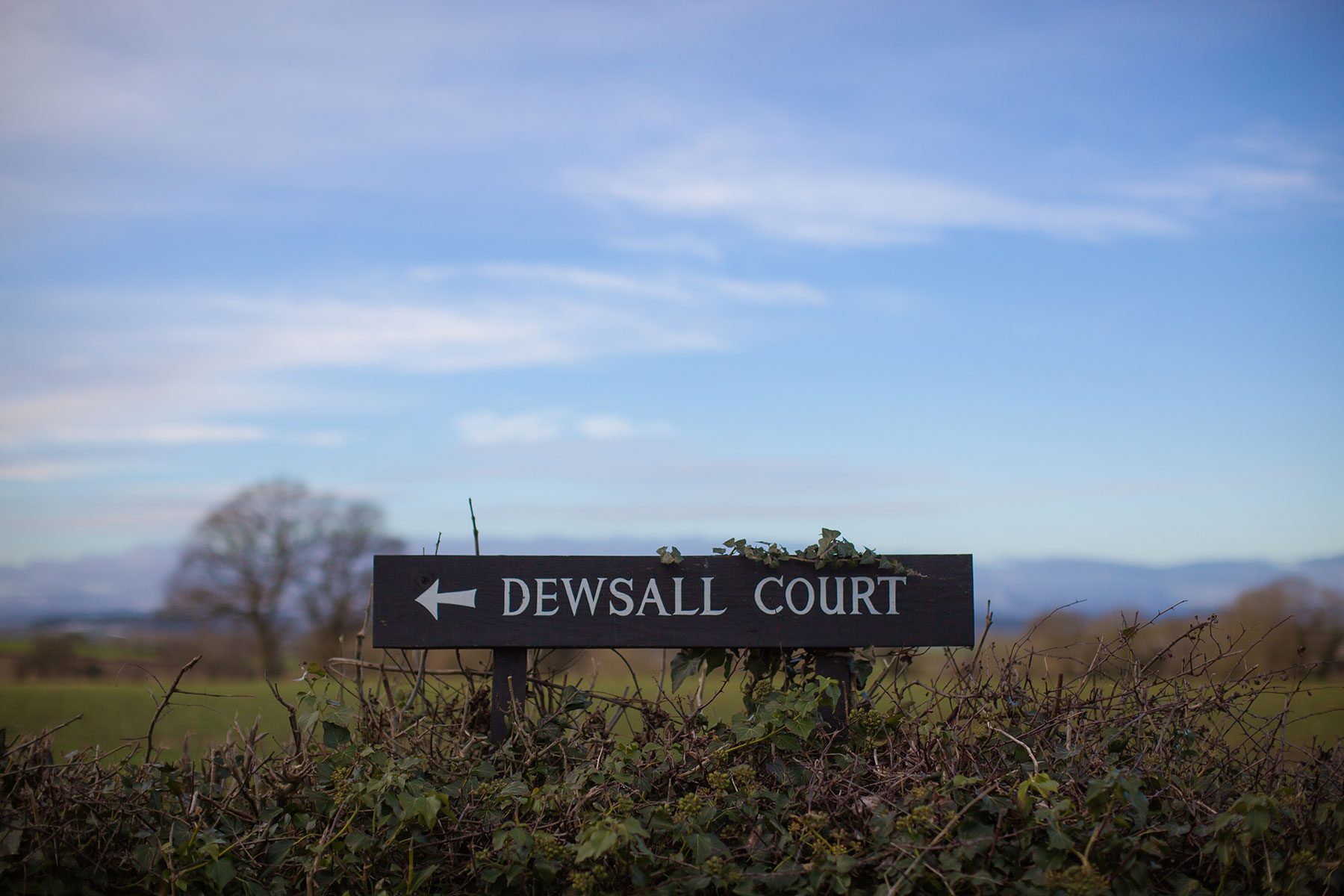 dewsall court 