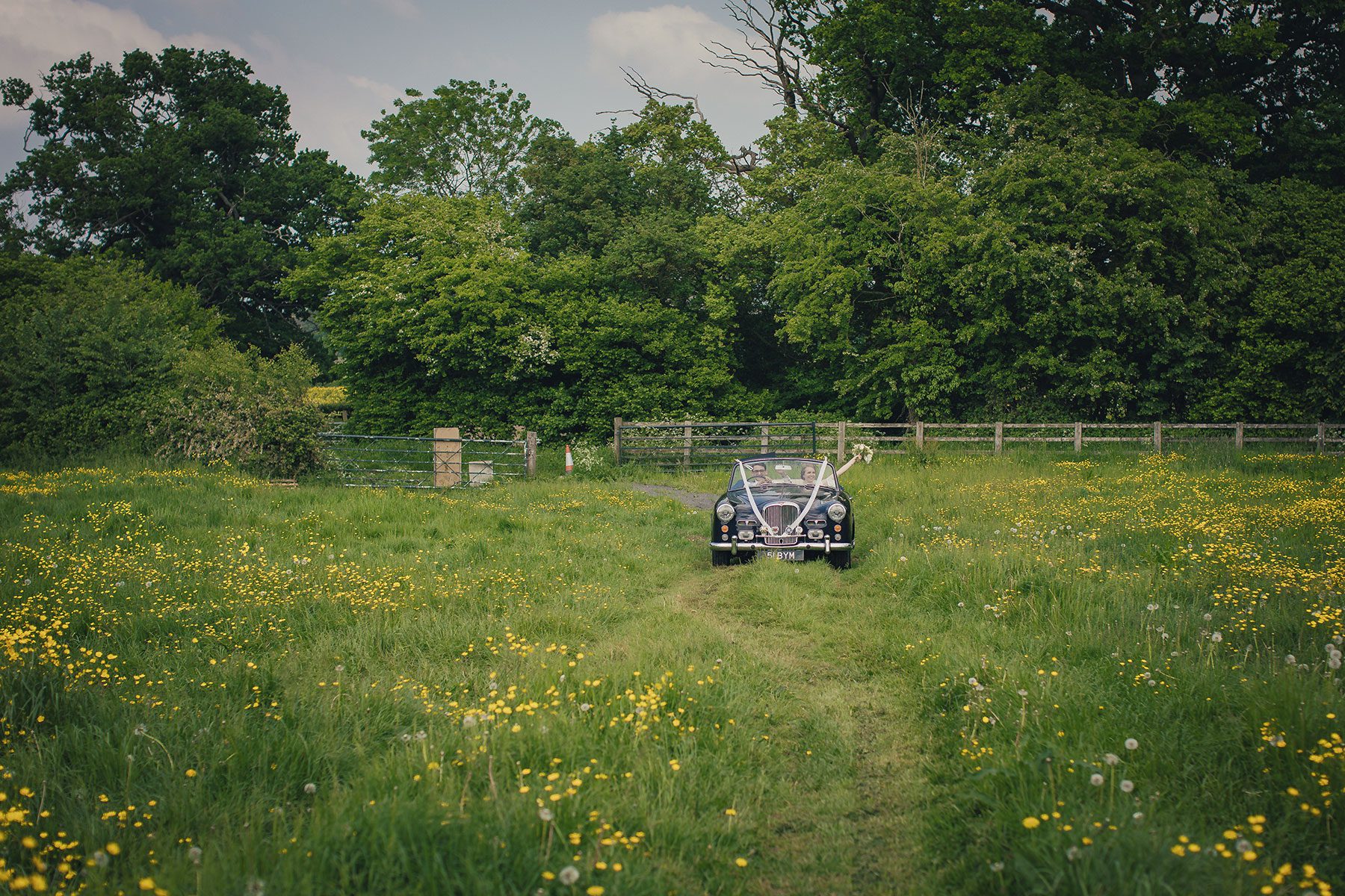 driving through the field